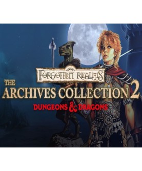 Forgotten Realms: The Archives - Collection Two GOG.com Key GLOBAL